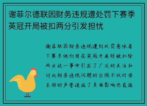 谢菲尔德联因财务违规遭处罚下赛季英冠开局被扣两分引发担忧